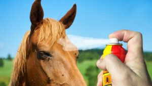 Fly sprays on horses