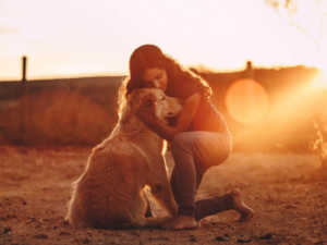 7 Dog Breeds for Emotional Support